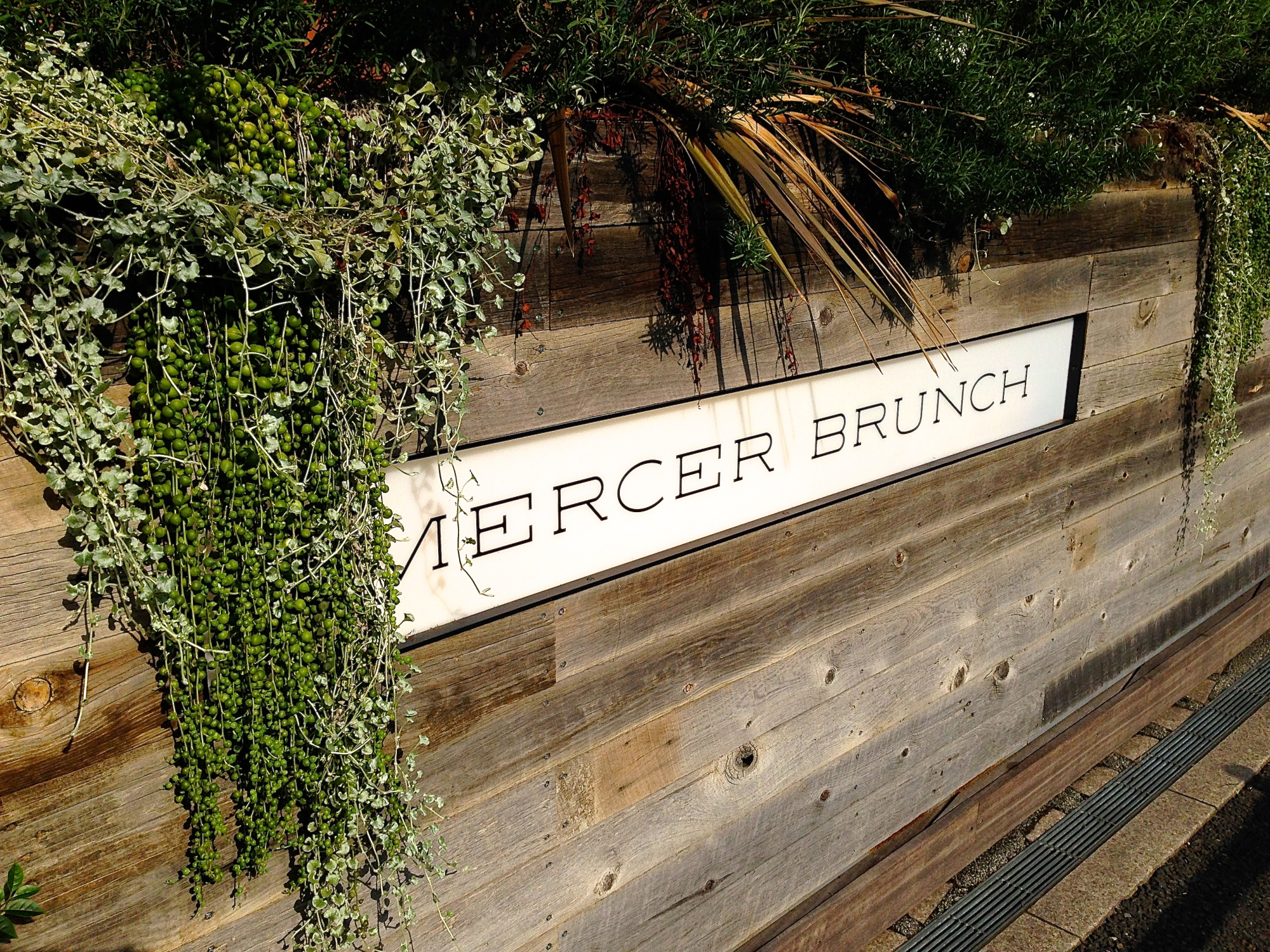 mercer 1.jpg
